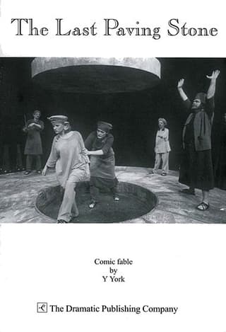 The Last Paving Stone Book Cover