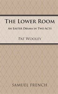 The Lower Room Book Cover