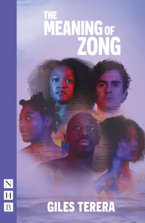 The Meaning of Zong Book Cover