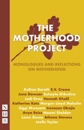 The Motherhood Project Book Cover