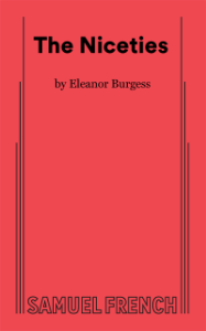 The Niceties Book Cover