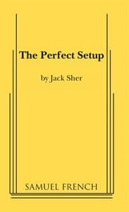 The Perfect Setup Book Cover