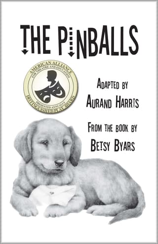 The Pinballs Book Cover