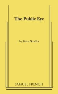 The Public Eye Book Cover