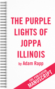 The Purple Lights of Joppa Illinois Book Cover