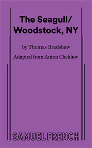 The Seagull / Woodstock, NY Book Cover