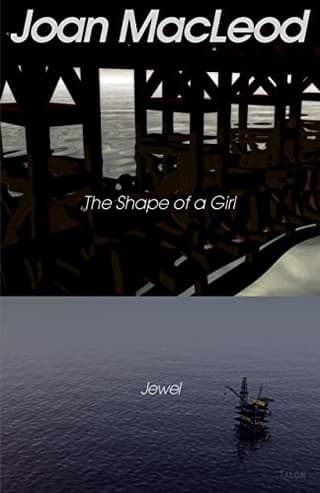 The Shape Of A Girl Book Cover