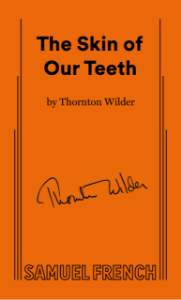 The Skin Of Our Teeth Book Cover