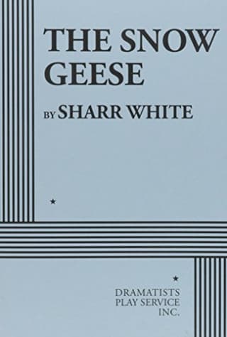 The Snow Geese Book Cover