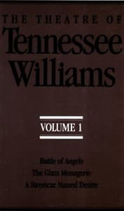 The Theatre Of Tennessee Williams, Vol 1 Book Cover