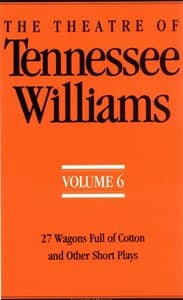 The Theatre Of Tennessee Williams, Vol 6 Book Cover