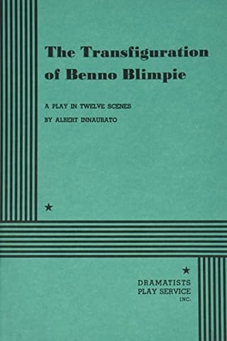 The Transfiguration Of Benno Blimpie Book Cover