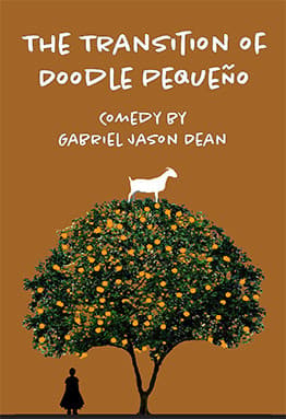 The Transition of Doodle Pequeño Book Cover