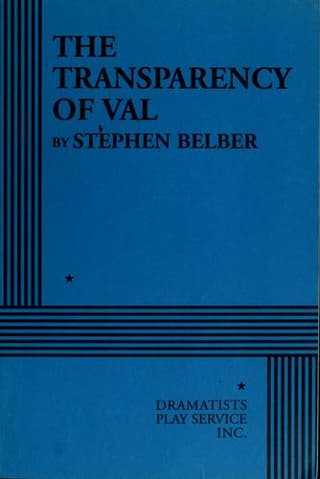 The Transparency Of Val Book Cover