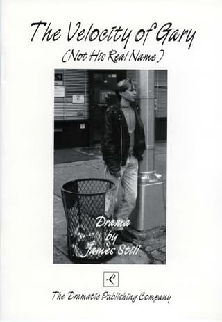 The Velocity of Gary (Not His Real Name) Book Cover