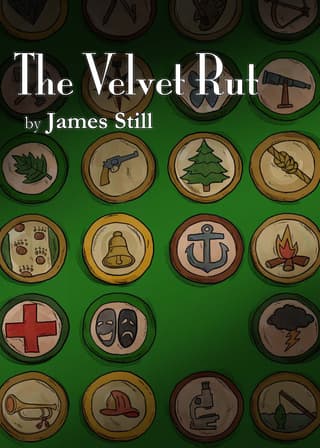 The Velvet Rut Book Cover