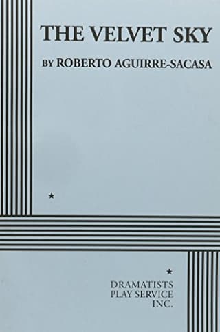 The Velvet Sky Book Cover