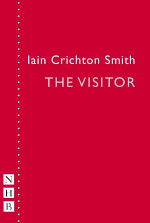The Visitor Book Cover