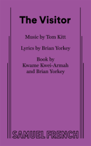 The Visitor Book Cover