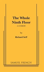 The Whole Ninth Floor Book Cover