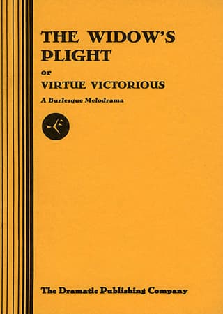The Widow's Plight Book Cover