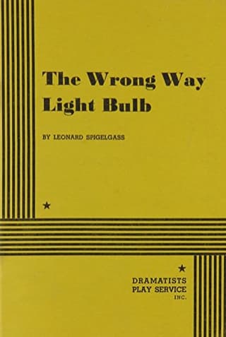The Wrong Way Light Bulb Book Cover