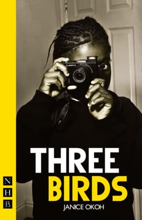 Three Birds Book Cover