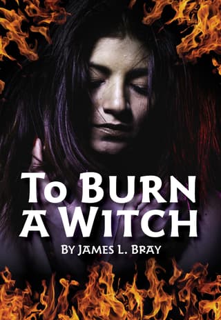 To Burn a Witch Book Cover