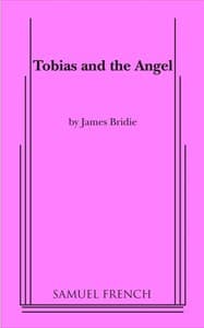 Tobias and the Angel Book Cover
