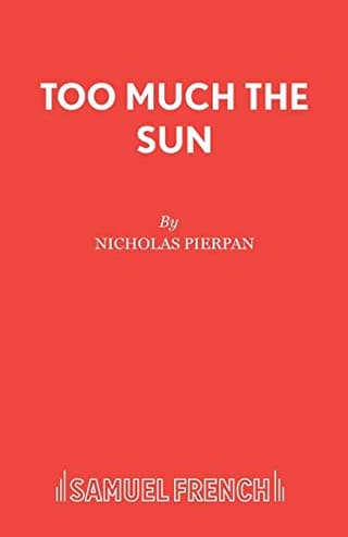 Too Much The Sun Book Cover