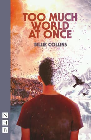 Too Much World at Once Book Cover