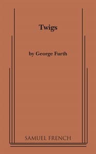 Twigs Book Cover