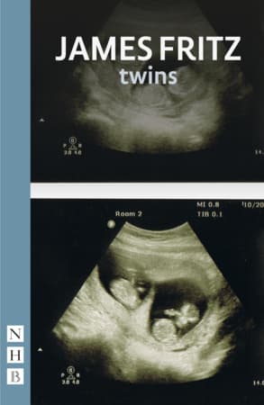 twins Book Cover