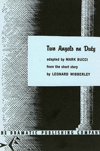 Two Angels on Duty Book Cover