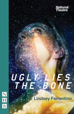 Ugly Lies the Bone Book Cover