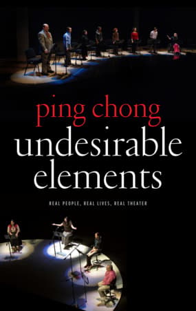 Undesirable Elements Book Cover
