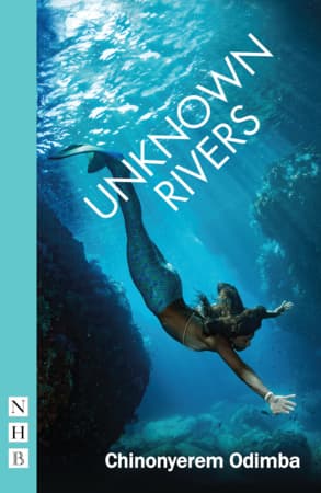 Unknown Rivers Book Cover