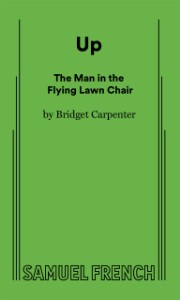 Up (The Man in the Flying Lawn Chair) Book Cover
