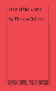 View Of The Dome Book Cover