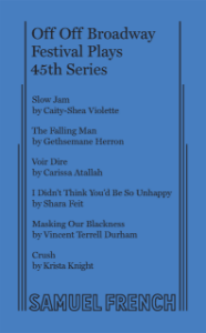 Voir Dire Book Cover