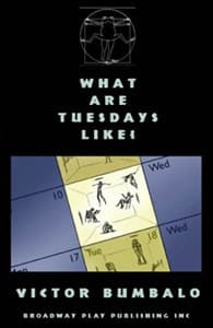 What Are Tuesdays Like? Book Cover