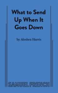 What to Send Up When It Goes Down Book Cover