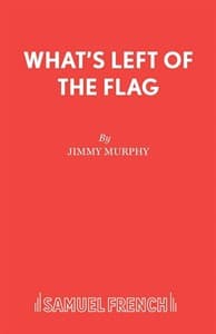 What's Left of the Flag Book Cover
