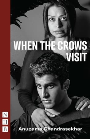 When the Crows Visit Book Cover