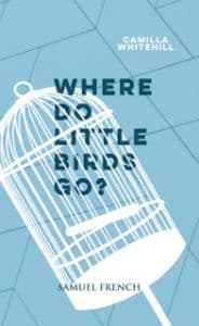 Where Do Little Birds Go? Book Cover