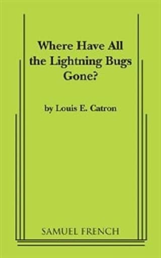 Where Have All The Lightning Bugs Gone? Book Cover
