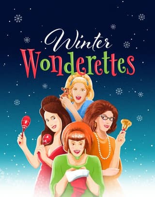 Winter Wonderettes Book Cover
