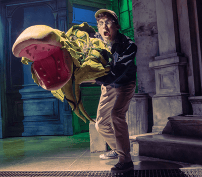 Little Shop of Horrors - Photo 4