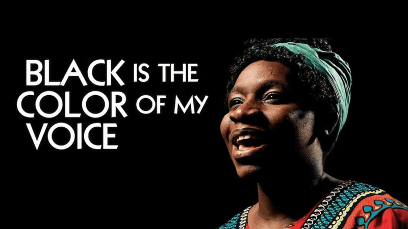 Black Is The Color Of My Voice