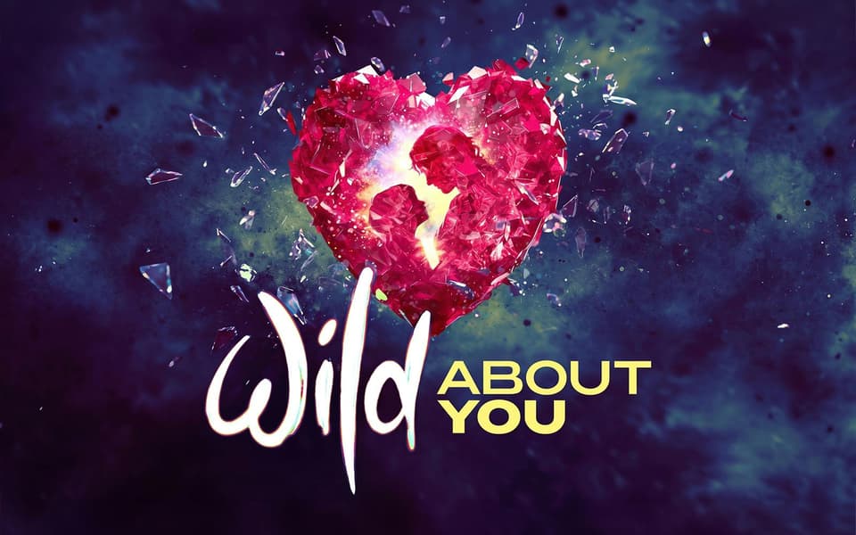 Wild About You